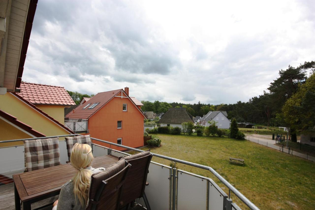 Ferienwohnungen Seevogel Koserow Exteriör bild